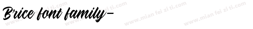 Brice font family字体转换